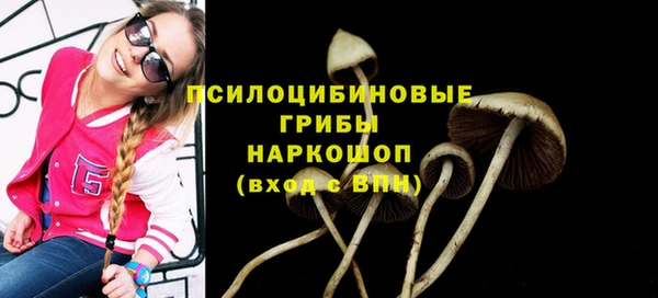 ГАЛЛЮЦИНОГЕННЫЕ ГРИБЫ Горнозаводск