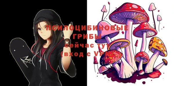 меф VHQ Горно-Алтайск