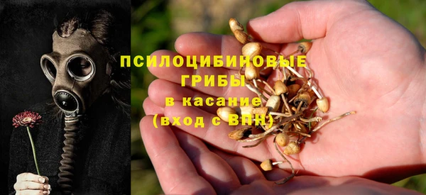 mix Горняк
