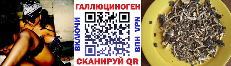 Псилоцибиновые грибы Psilocybe  Купить закладки  Оханск 
